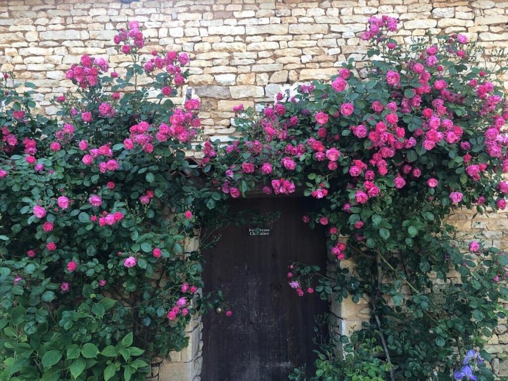 Blacksmiths Cottage in Blanzay - 3 beds Exterior foto